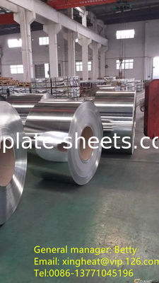Ανθεκτικό στη διάβρωση φύλλα τσιμέντου Bright Stone Silver Matt Coating