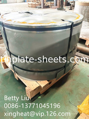 Ανθεκτικό στη διάβρωση φύλλα τσιμέντου Bright Stone Silver Matt Coating